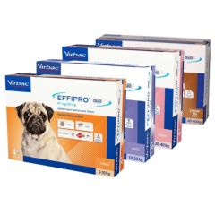 Effipro Duo pipetas antiparasitarias para Cães