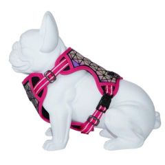 Arnês Dog Freedog Boreal Fucsia