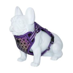Arnês Dog Freedog Boreal Purple