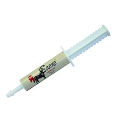 Crono Electrolytes Cavalos