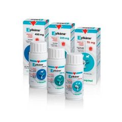 Tranquilizante natural Zylkene para cães e gatos