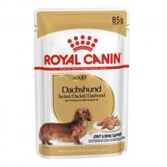 Royal Canin Dog Dachshund-Teckel Adult (Saquetas) 85 gr x 12
