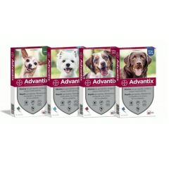 Pipetas Advantix para cães