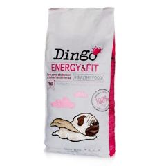 Dingo Energy & Fit
