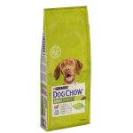 Dog Chow Adult Cordeiro