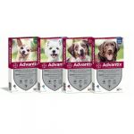 Pipetas Advantix para cães