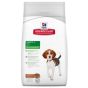 Hill'sScience Plan Canine Puppy Medium Cordeiro & Arroz