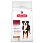 Hill's Science Plan Canine Adult Large Breed Cordeiro & Arroz