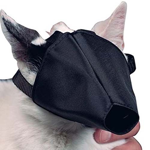 Focinheira Kruuse Nylon Gato