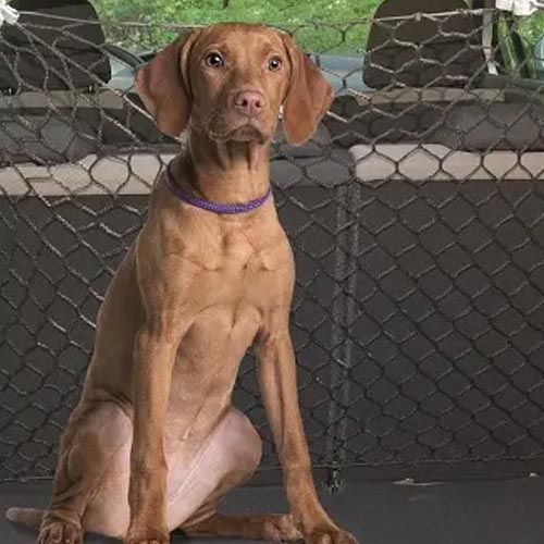 Freedog Red De Seguridad Separadora 140x120Cm