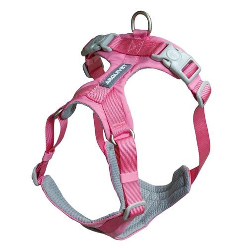 Arnês Roma Rosa