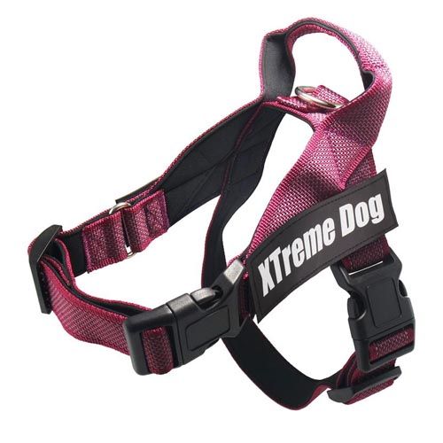 Arnês Xtreme Classics Dog Rosa