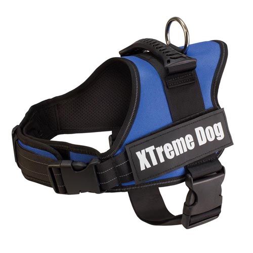 Arnês Xtreme Dog Azul