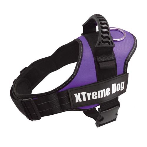 Arnês Xtreme Dog Lilás