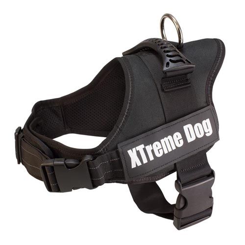 Arnês Xtreme Dog Preto