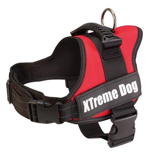 Arnês Xtreme Dog Vermelho