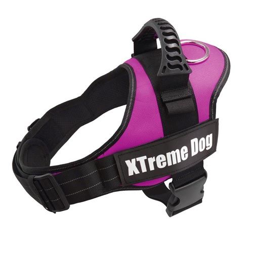 Arnês Xtreme Dog Rosa