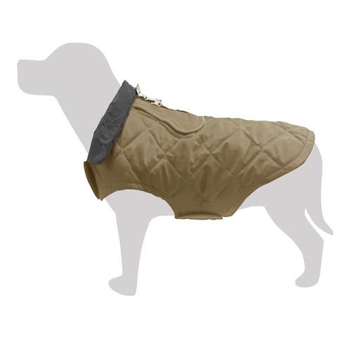Colete cão acolchoado Aconcagua