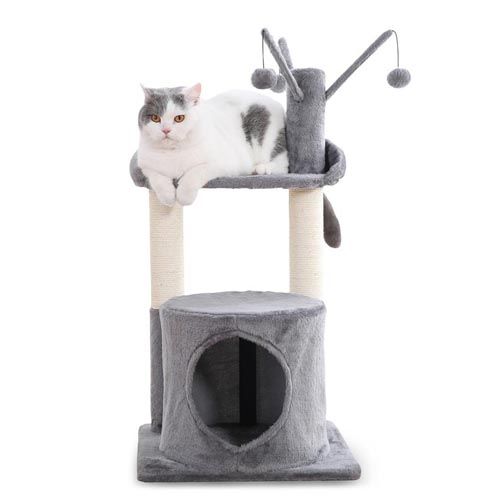 Raspador gatos Dynamic descanso e jogo
