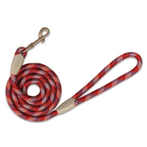 Correia Piemonte vermelho