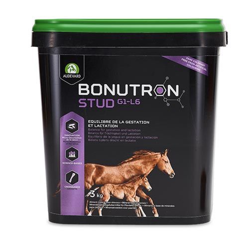 Bonutron Stud Cavalos (Envio 3 - 5 dias)