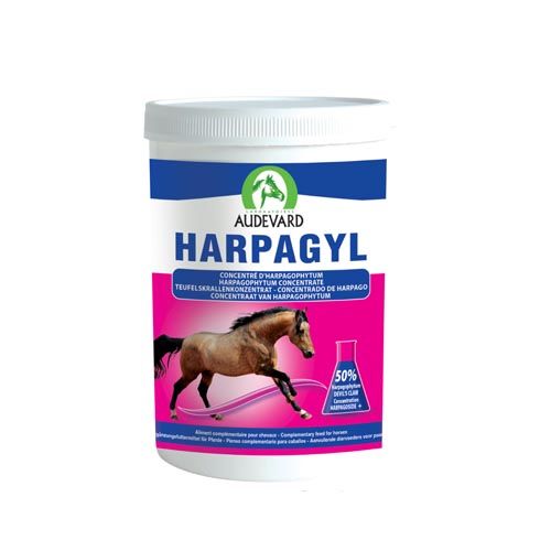 Harpagyl Cavalos (Envio 3 - 5 dias)
