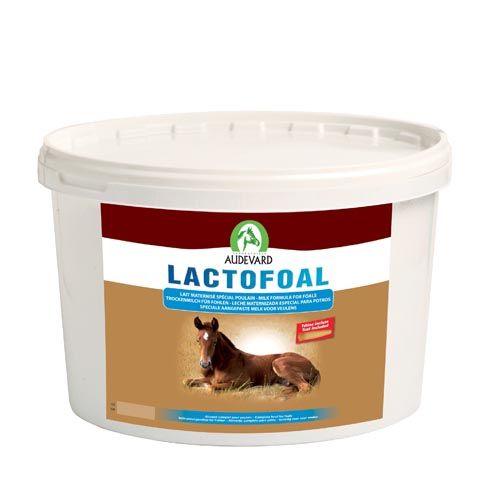 Lactofoal Cavalos