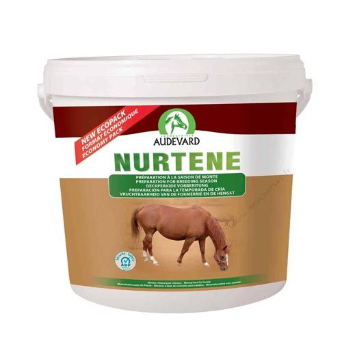 Nurtene Cavalos