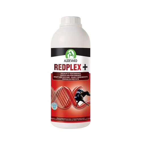 Redplex Cavalos