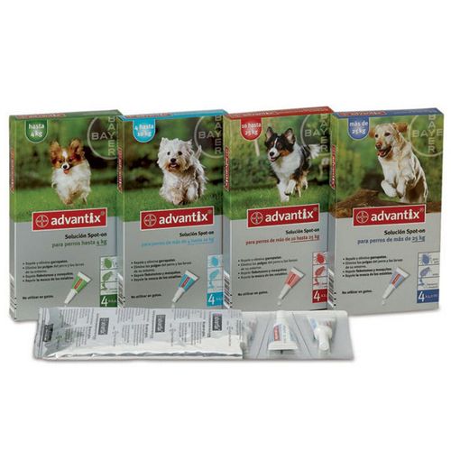 Pipetas Advantix para cães