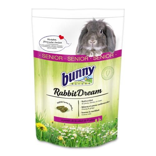 Bunny Coelho Dream Senior