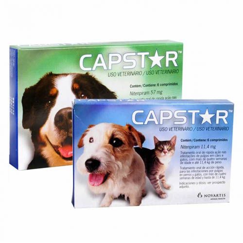 Capstar antiparasitário interno cães egatos
