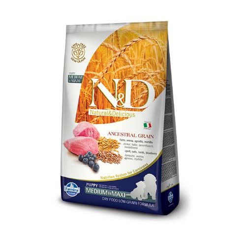 Farmina N&D Ancestral Grain Puppy Medium - Maxi Cordeiro Cães