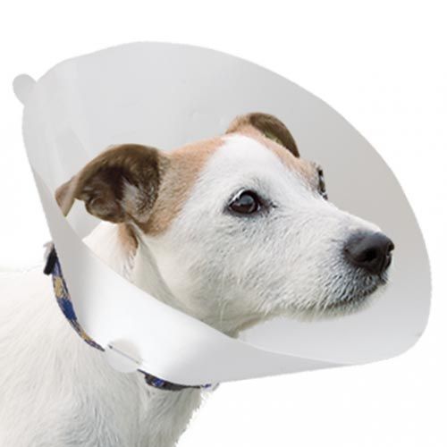 Coleira veterinária para cães