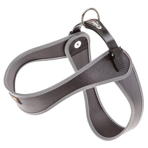 Arnês Cães Agila Nero