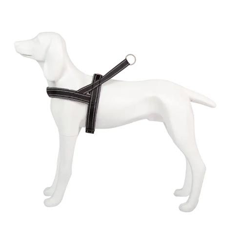Arnês Dog Freedog Shiva Sport Grey