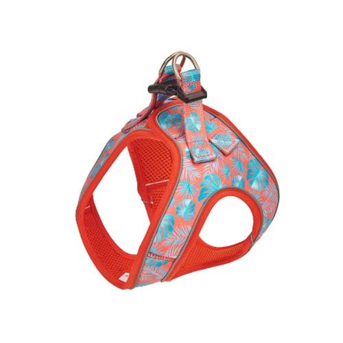 Arnês Dog Freedog Tropical Coral
