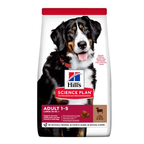 Hill's Science Plan Canine Adult Large Breed Cordeiro & Arroz