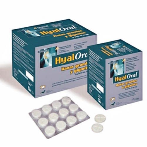 Condroprotecor Hyaloral para cães