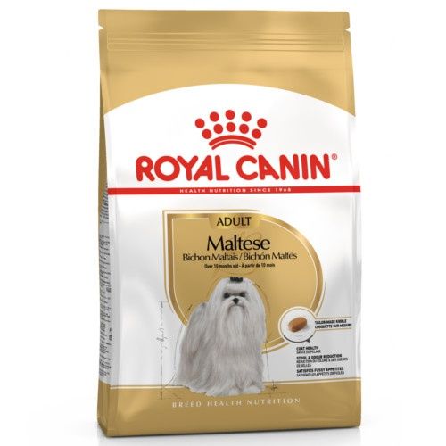 Royal Canin Bichon Maltês