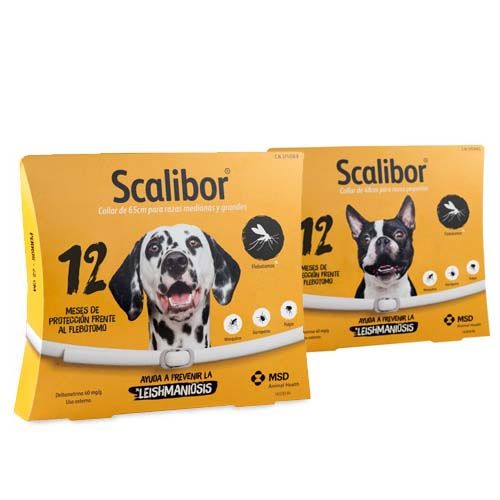 Coleira antiparasitária Scalibor para cães