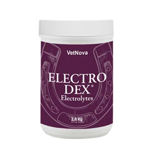 Electro Dex Cavalos