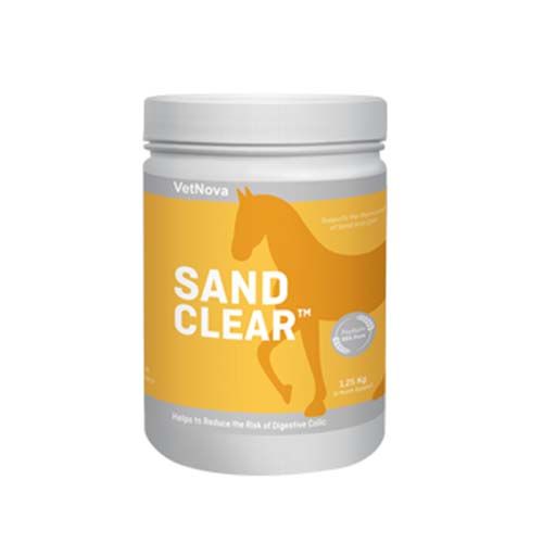Sandclear Cavalos