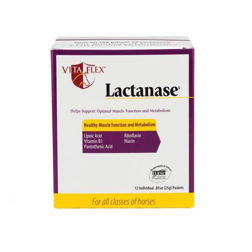Lactanase Cavalos (25 gr.)