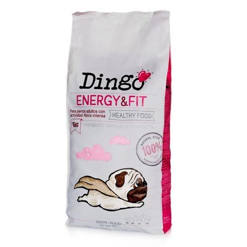 Dingo Energy & Fit