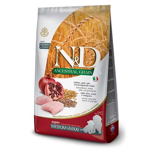 Farmina N&D Ancestral Grain Puppy Medium - Maxi Frango Cães